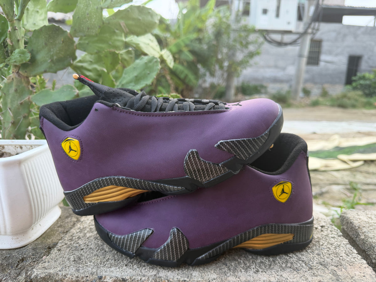 Air Jordan 14 Retro Purple Custom