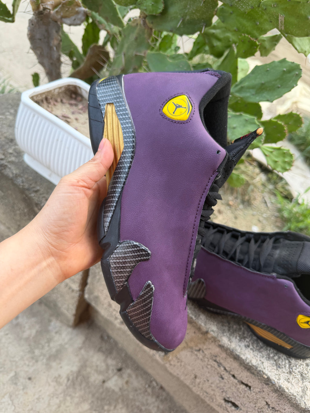 Air Jordan 14 Retro Purple Custom